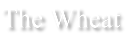 The Wheat
