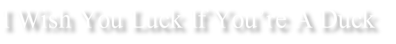 I Wish You Luck If You’re A Duck
