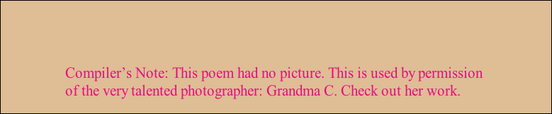 Compiler’s Note: This poem had no picture. This is used by permission 
of the very talented photographer: Grandma C. Check out her work. 
